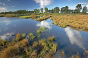 BUITEN BEELD Foto: 359850