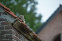 BUITEN BEELD Foto: 360005