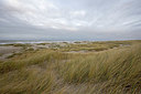 BUITEN BEELD Foto: 360034