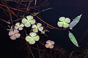 BUITEN BEELD Foto: 360101
