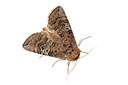 BUITEN BEELD Foto: 360107