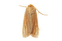 BUITEN BEELD Foto: 360112