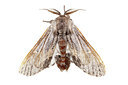 BUITEN BEELD Foto: 360125