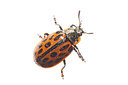 BUITEN BEELD Foto: 360142