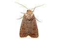 BUITEN BEELD Foto: 360144