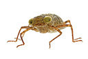BUITEN BEELD Foto: 360162