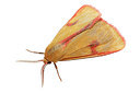BUITEN BEELD Foto: 360185