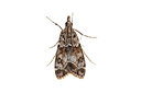 BUITEN BEELD Foto: 360196