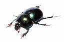 BUITEN BEELD Foto: 360199