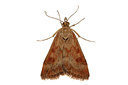 BUITEN BEELD Foto: 360201