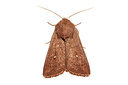 BUITEN BEELD Foto: 360204