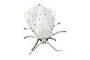 BUITEN BEELD Foto: 360207