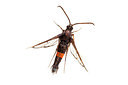 BUITEN BEELD Foto: 360209