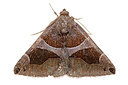 BUITEN BEELD Foto: 360210