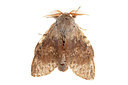 BUITEN BEELD Foto: 360211