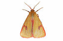 BUITEN BEELD Foto: 360214