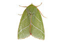 BUITEN BEELD Foto: 360221
