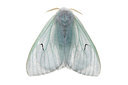 BUITEN BEELD Foto: 360228