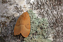 BUITEN BEELD Foto: 360229
