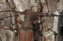 BUITEN BEELD Foto: 360234