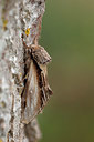 BUITEN BEELD Foto: 360244