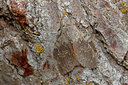 BUITEN BEELD Foto: 360250