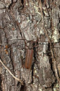BUITEN BEELD Foto: 360251