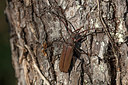BUITEN BEELD Foto: 360270