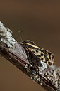 BUITEN BEELD Foto: 360271