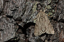 BUITEN BEELD Foto: 360278