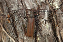 BUITEN BEELD Foto: 360281