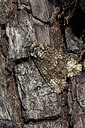 BUITEN BEELD Foto: 360289