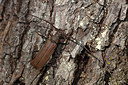 BUITEN BEELD Foto: 360298