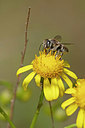 BUITEN BEELD Foto: 360301