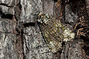 BUITEN BEELD Foto: 360319