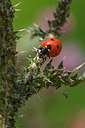 BUITEN BEELD Foto: 360323