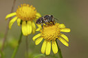 BUITEN BEELD Foto: 360324