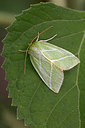 BUITEN BEELD Foto: 360325