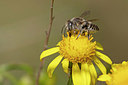 BUITEN BEELD Foto: 360333