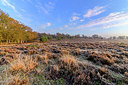 BUITEN BEELD Foto: 360355