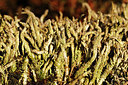 BUITEN BEELD Foto: 360365