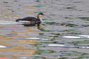 BUITEN BEELD Foto: 360366