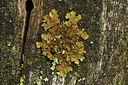 BUITEN BEELD Foto: 360374