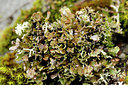 BUITEN BEELD Foto: 360381