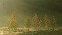 BUITEN BEELD Foto: 360403
