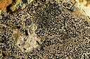 BUITEN BEELD Foto: 360413