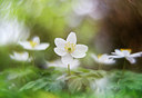 BUITEN BEELD Foto: 360423