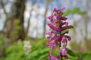 BUITEN BEELD Foto: 360451
