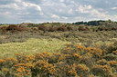 BUITEN BEELD Foto: 360464