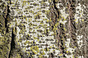 BUITEN BEELD Foto: 360470